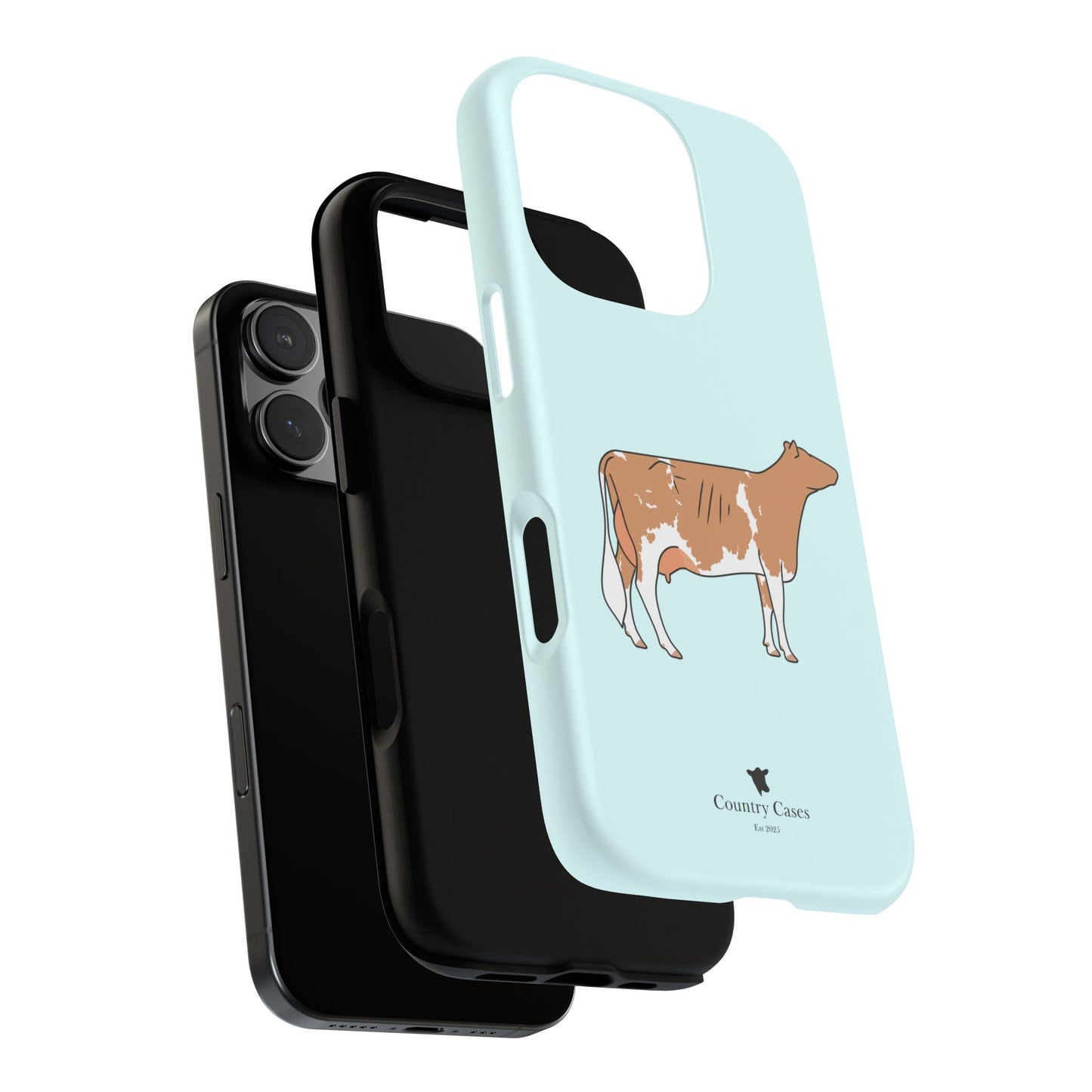 Gurnsey case