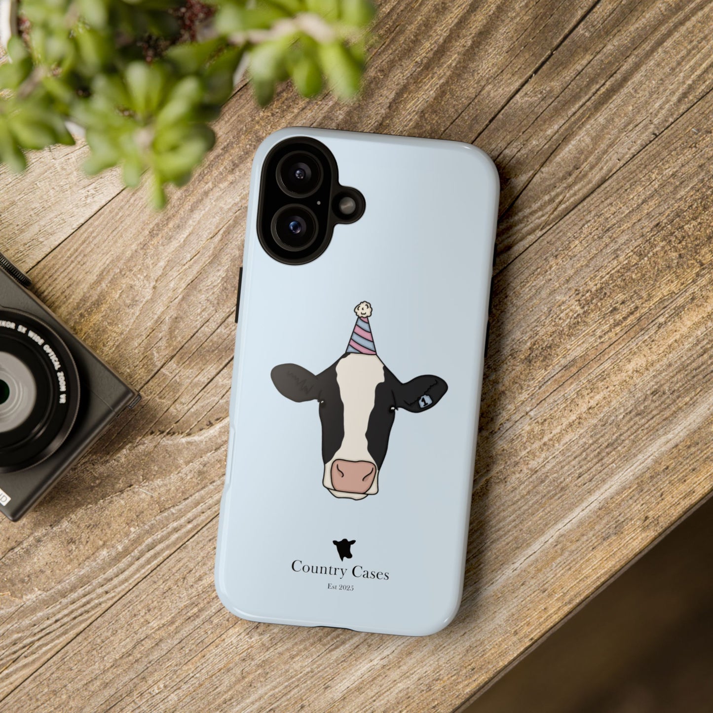 Blue Birthday Case
