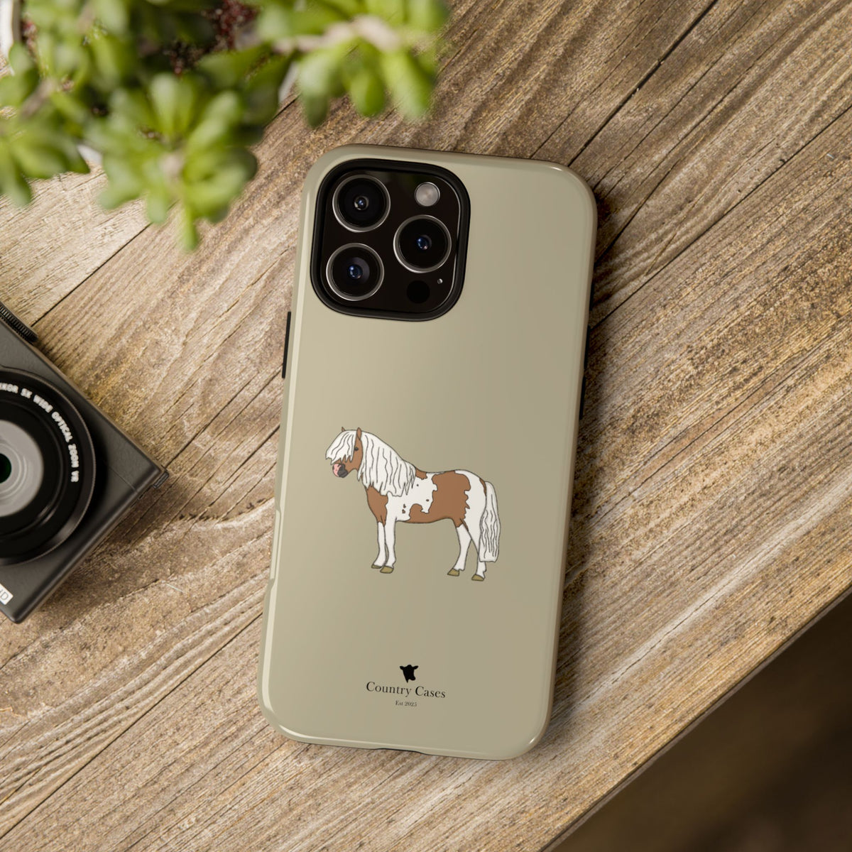 Shetland Pony Case