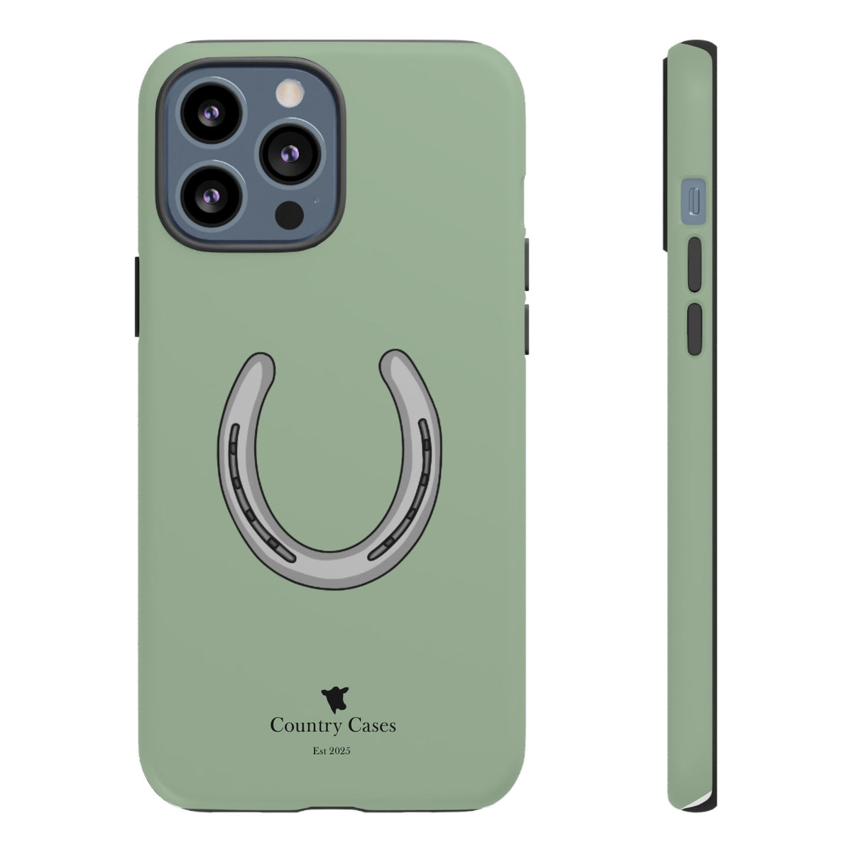 Horse Shoe Case