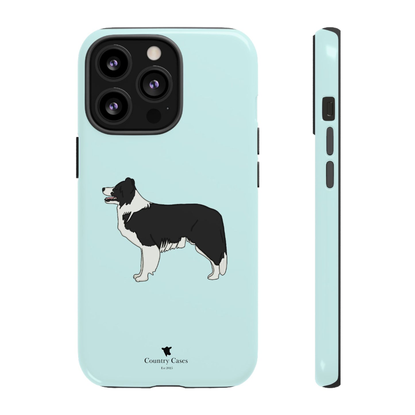 Collie case