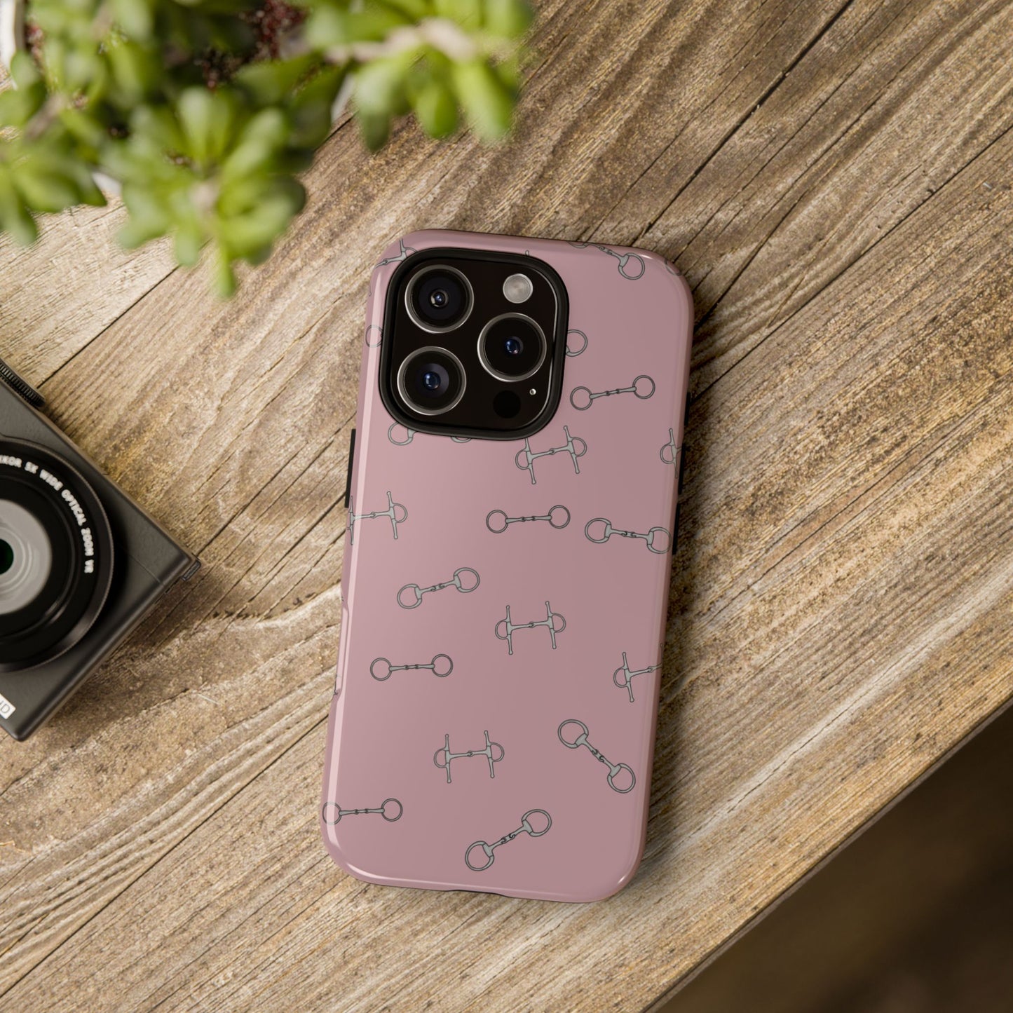 Bridleway Case