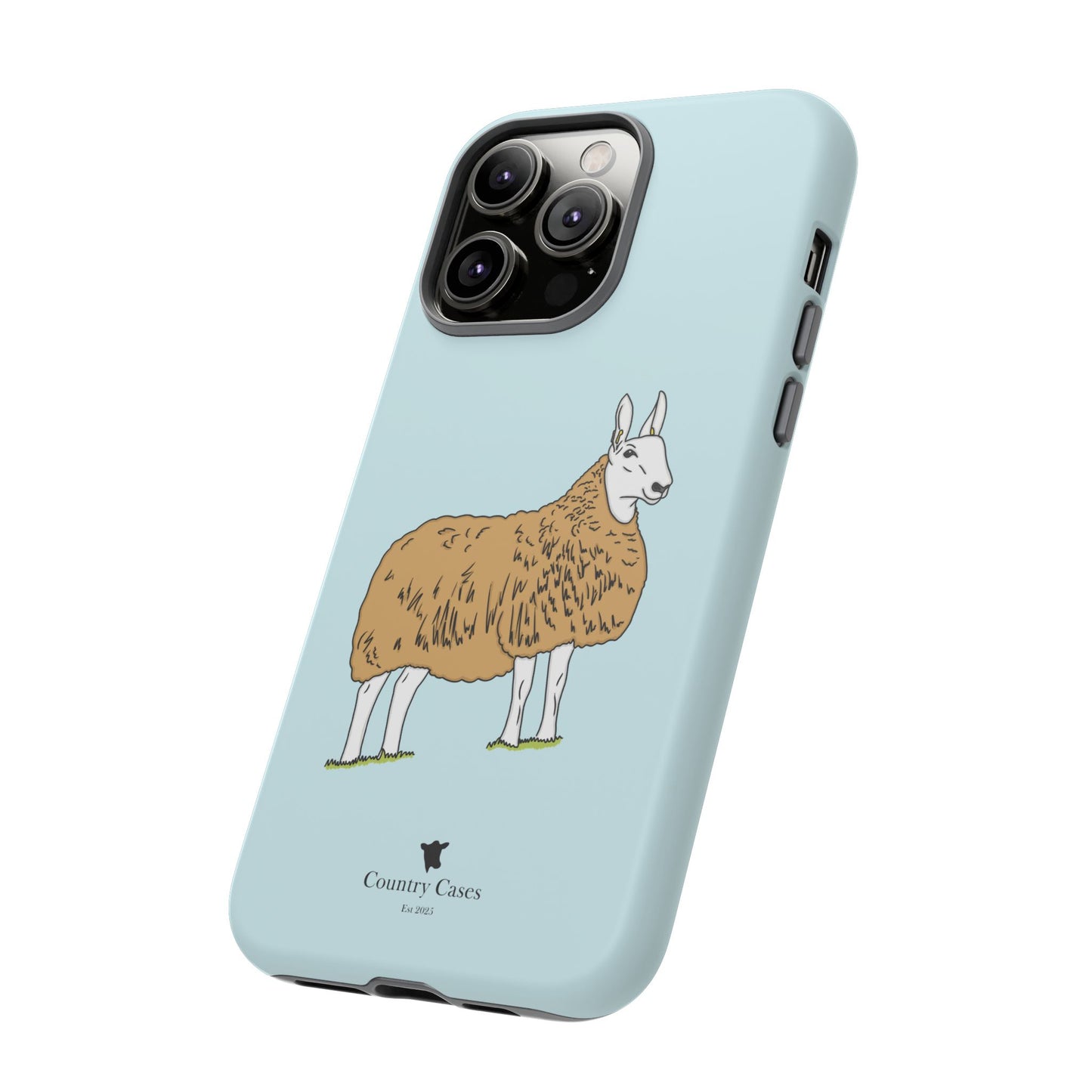Border Leicester case