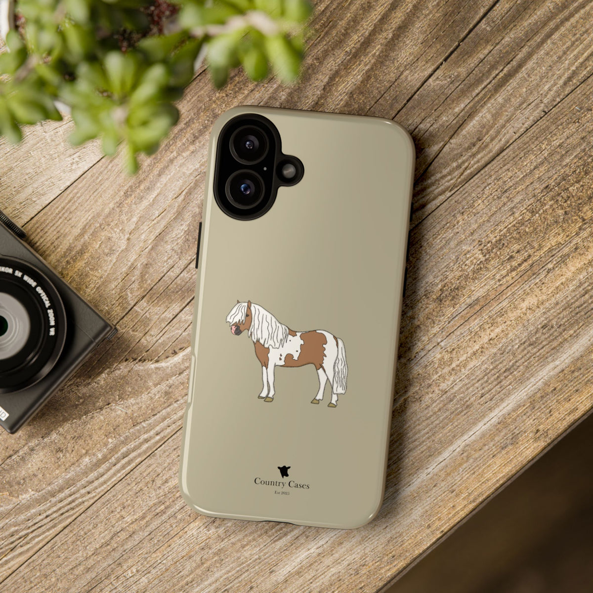 Shetland Pony Case