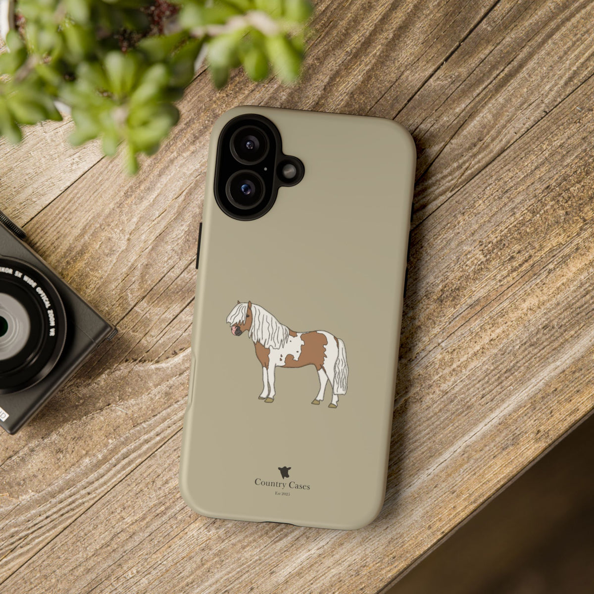 Shetland Pony Case