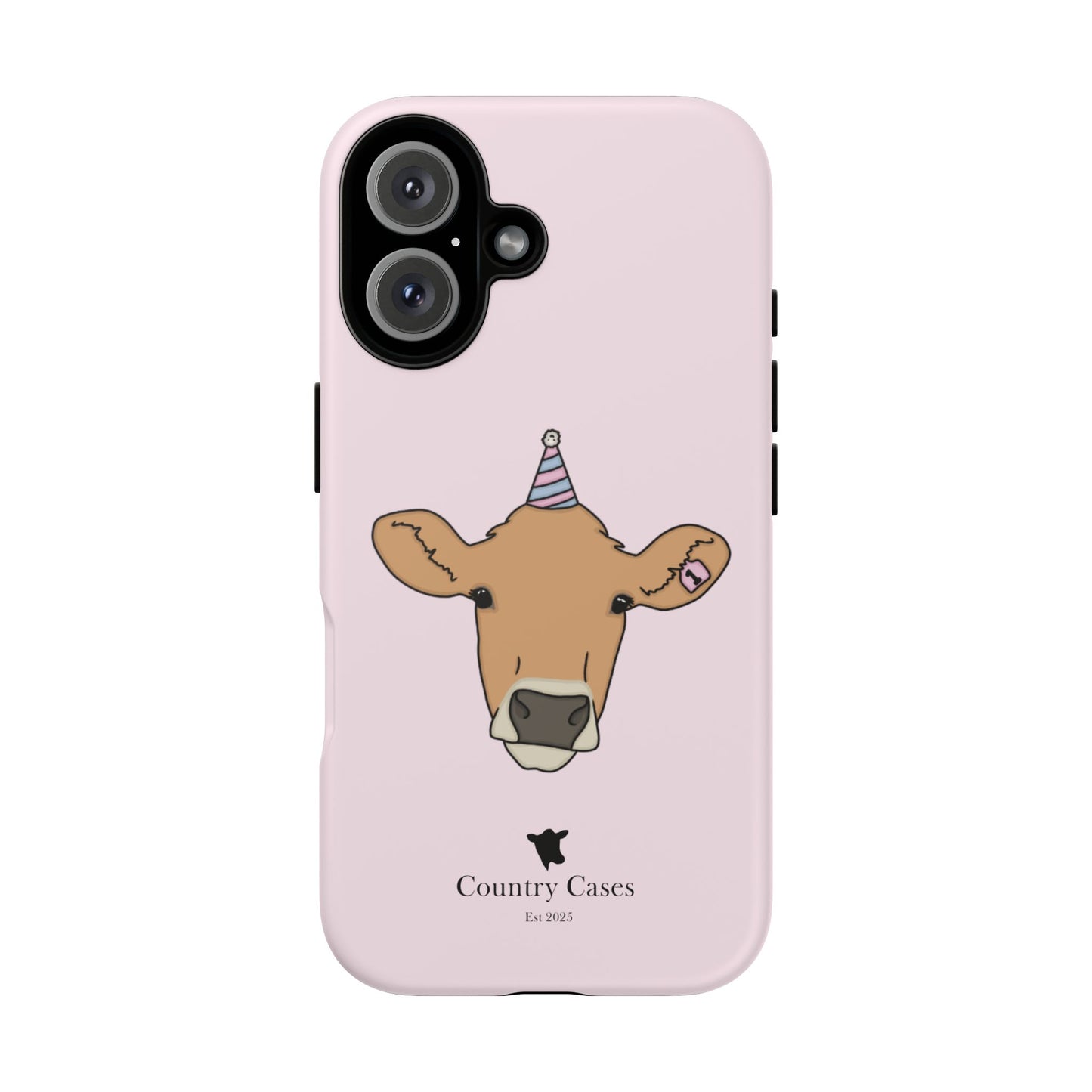 Pink Birthday Case