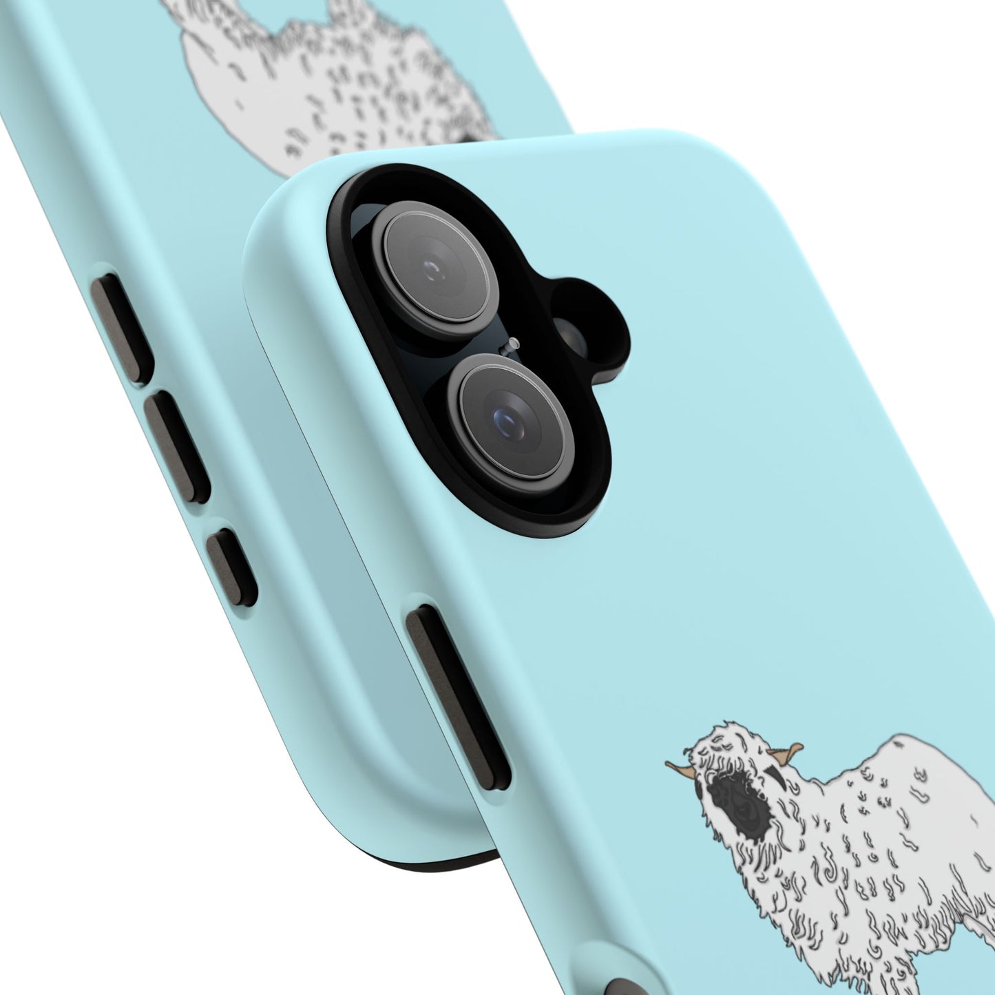 Valias blacknose sheep case