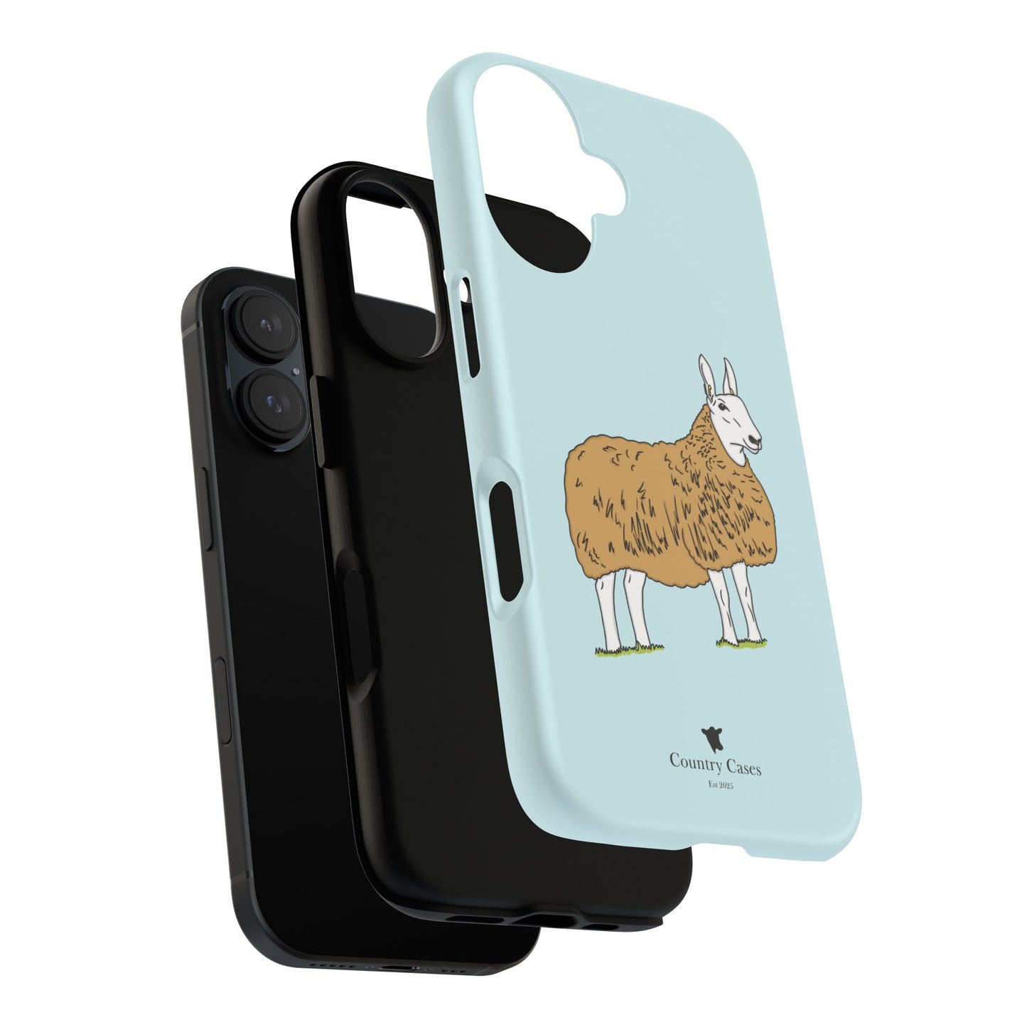 Border Leicester case