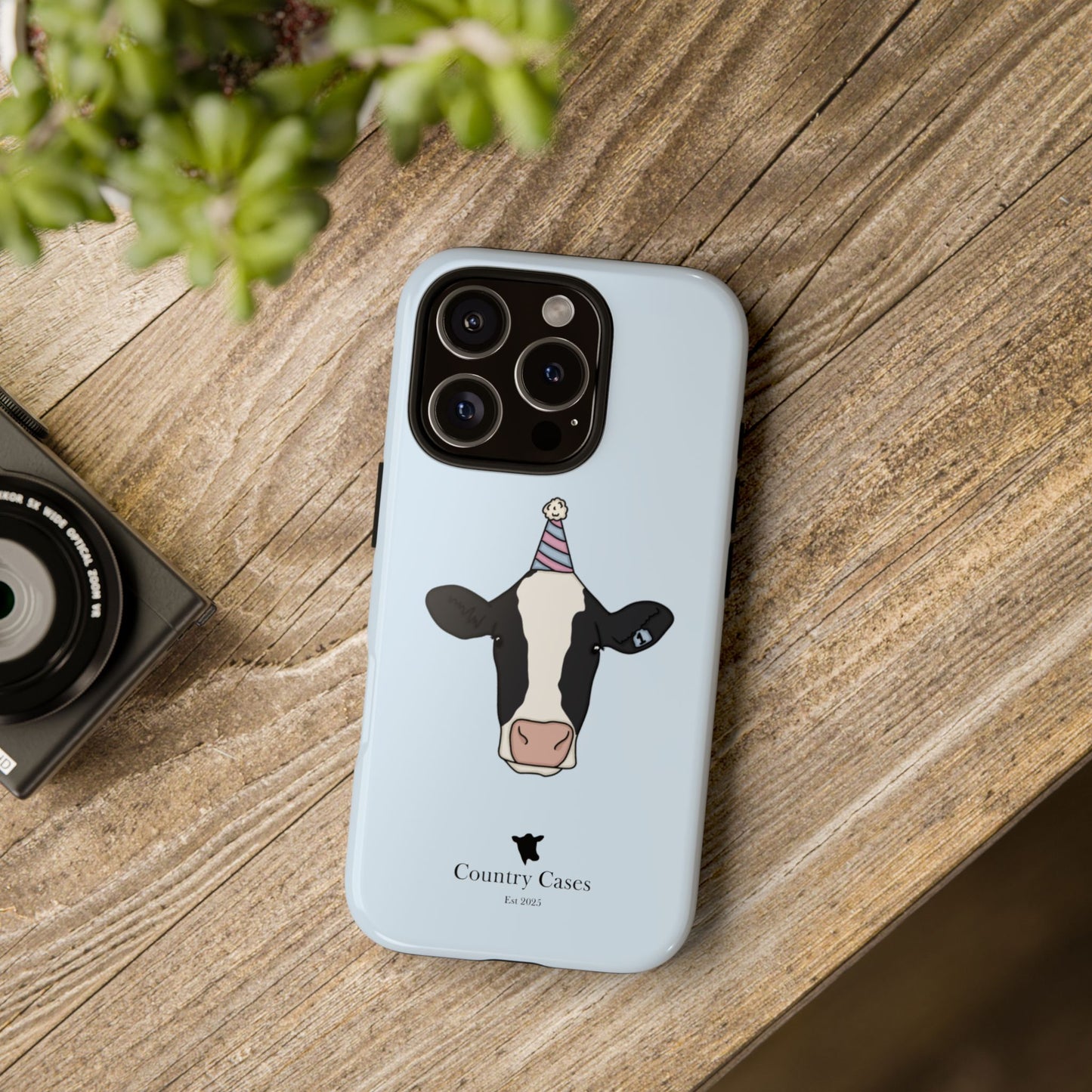 Blue Birthday Case