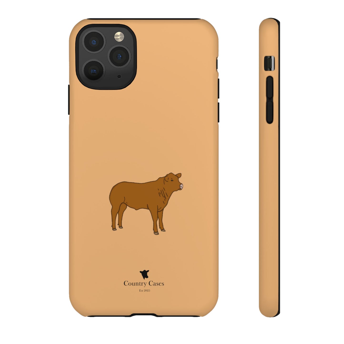 Beef Cow Case