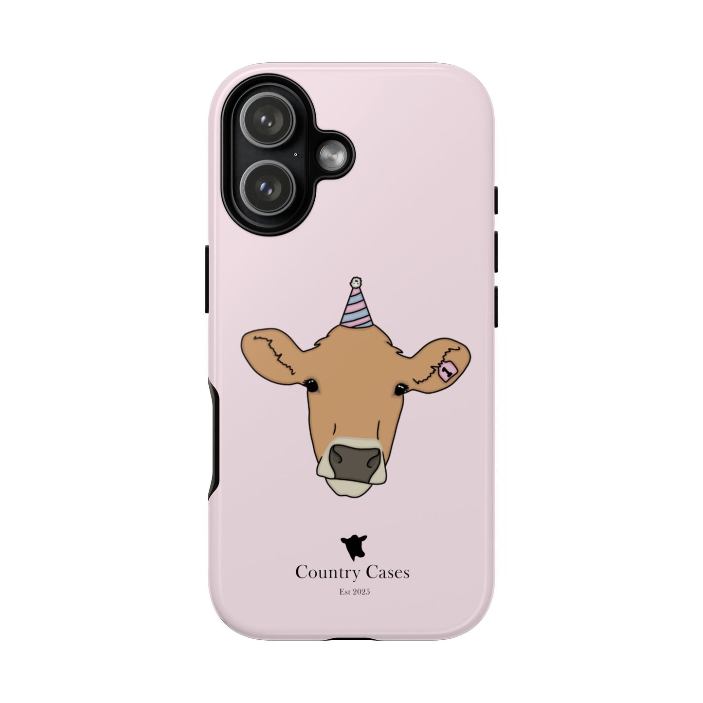 Pink Birthday Case