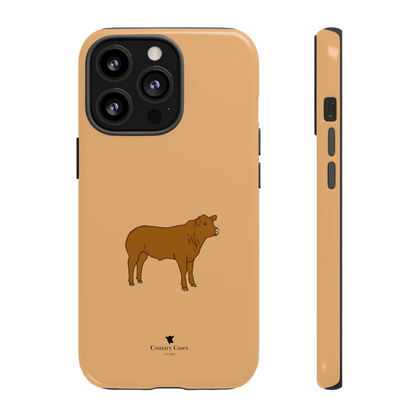 Beef cow case