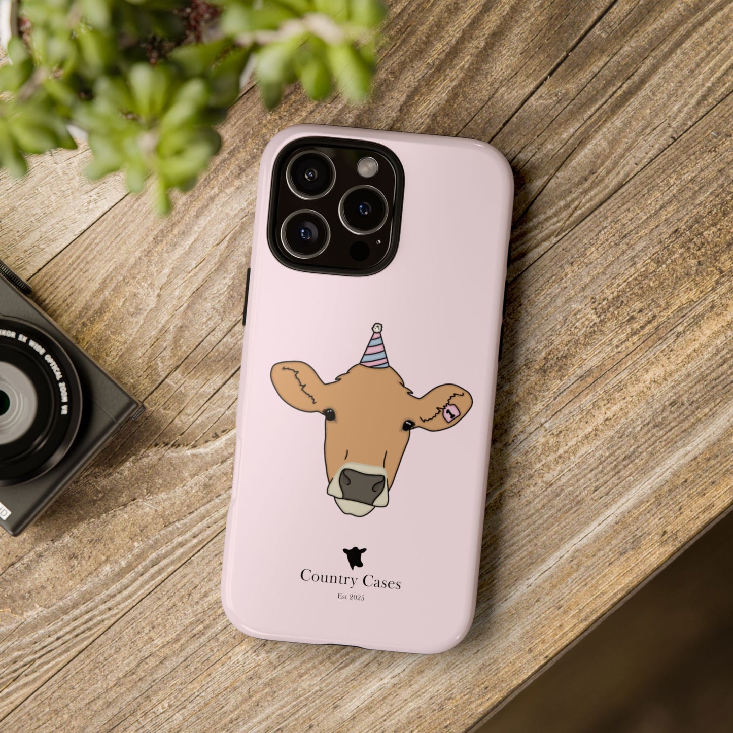 Pink Birthday Case