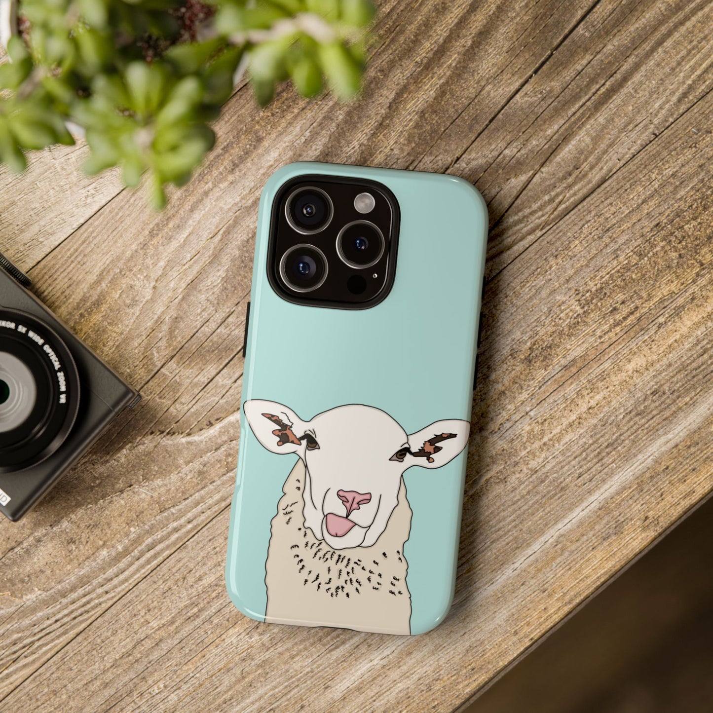 Silly sheep case