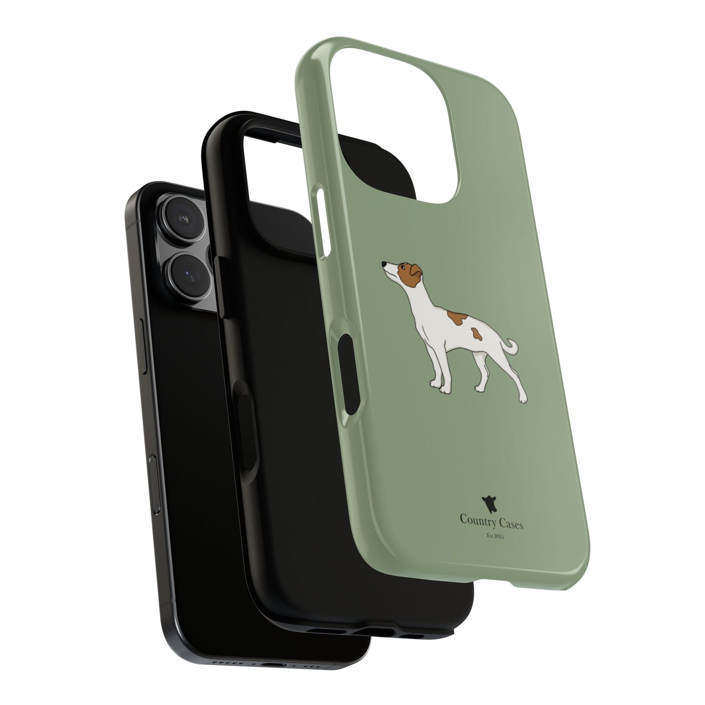 Jack Russell terrier case