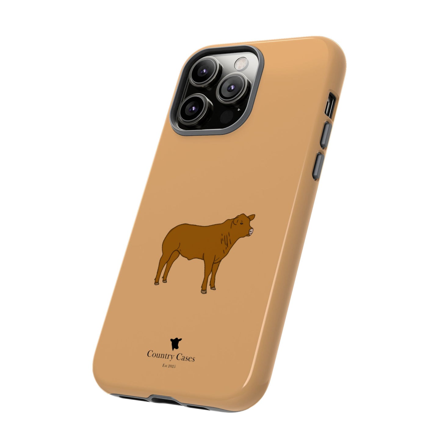 Beef Cow Case