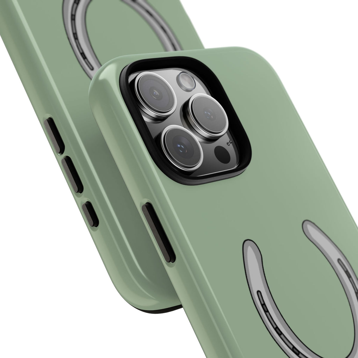 Horse Shoe Case