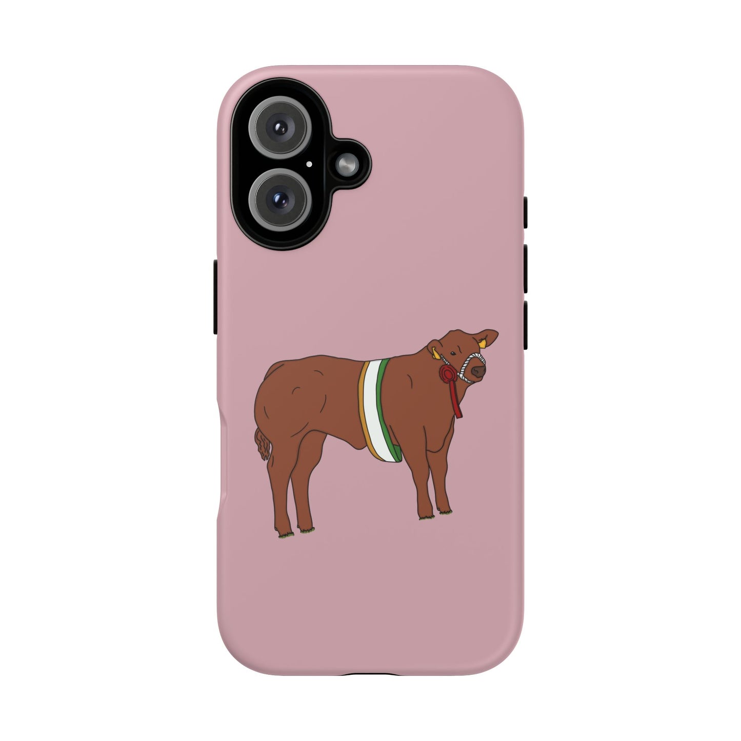 Saoirse Custom Case
