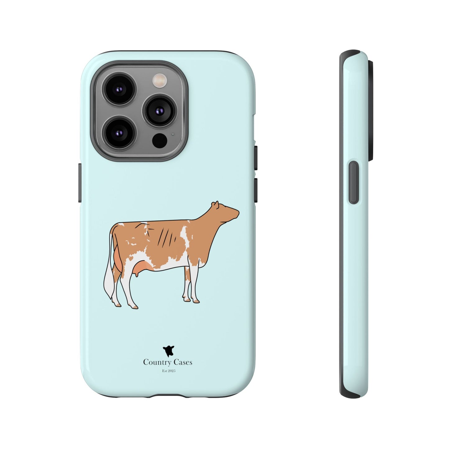 Gurnsey case