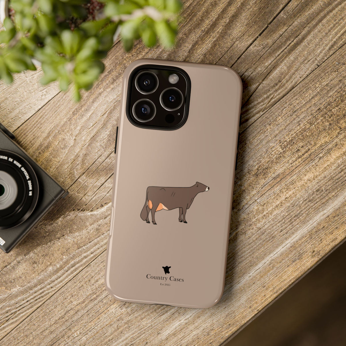 Brown Swiss Case