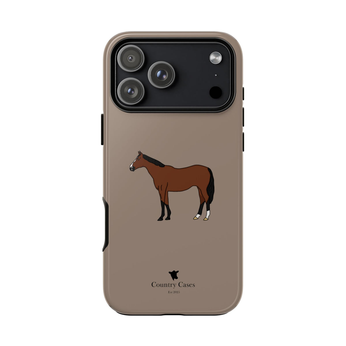 Bay Horse Case