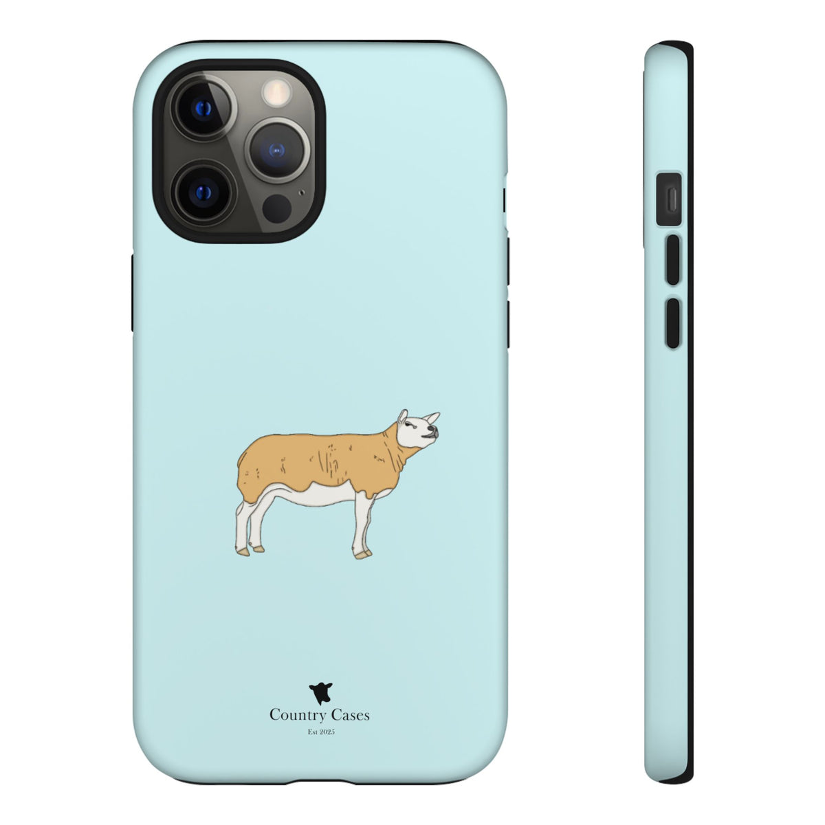 Texal Case