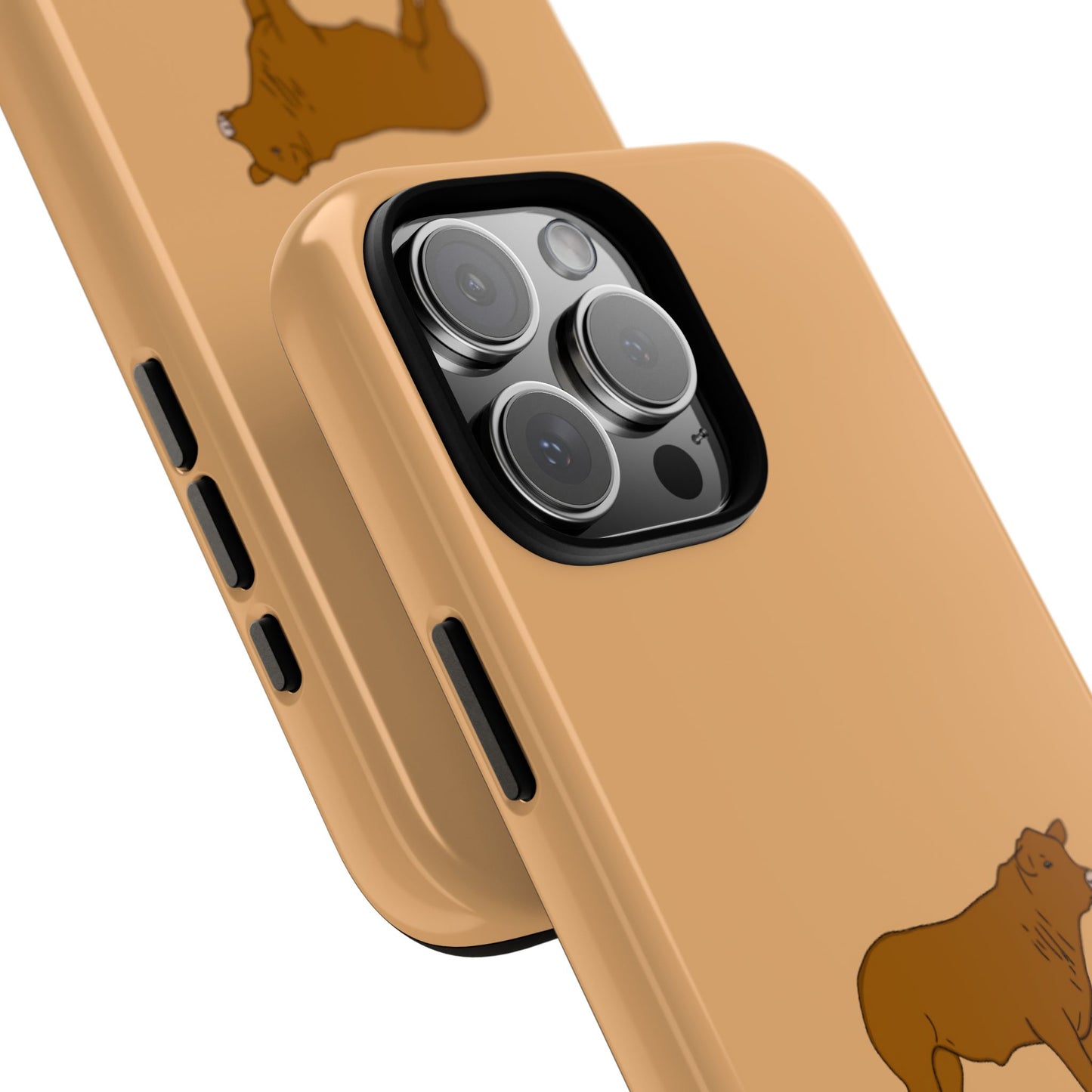 Beef Cow Case