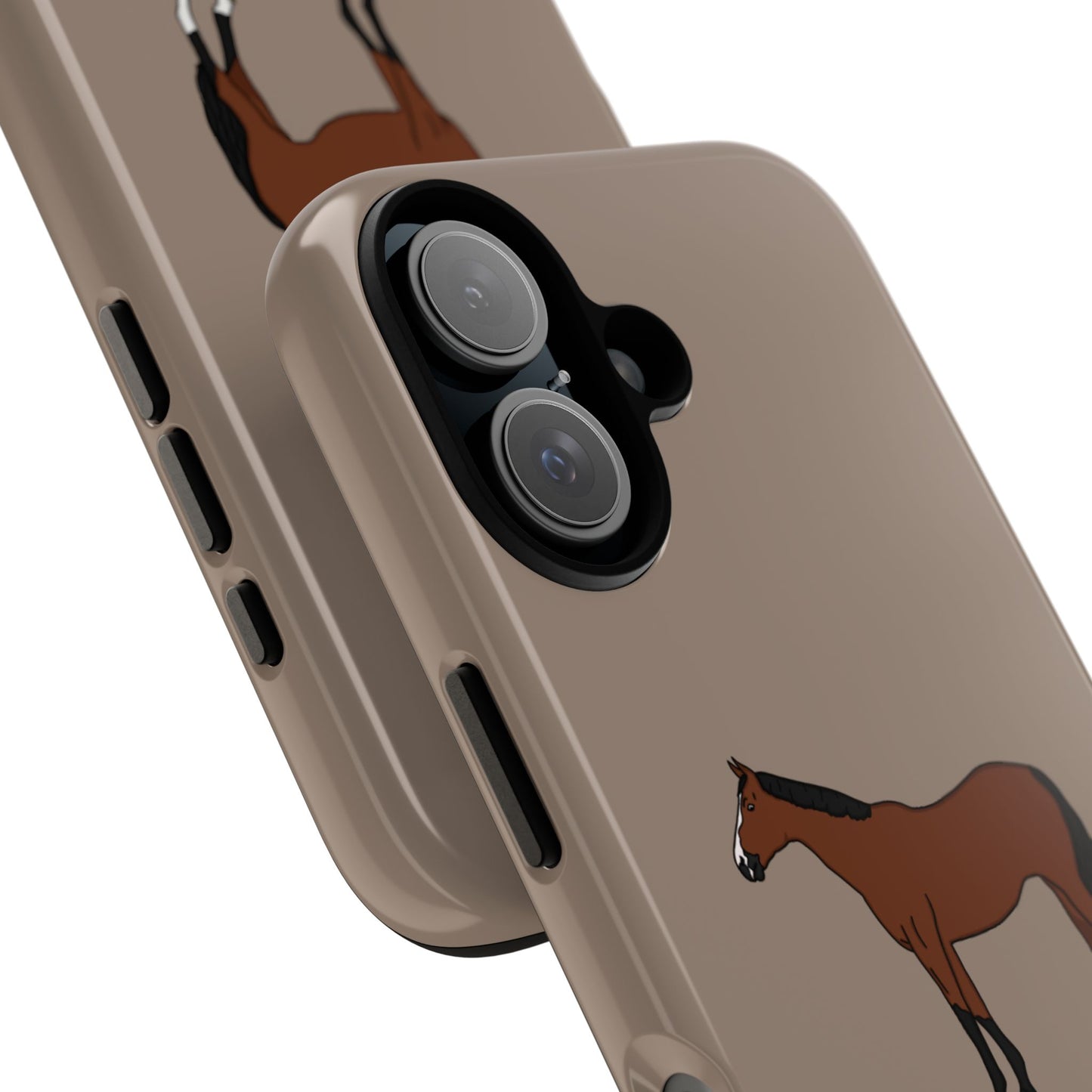 Bay horse case