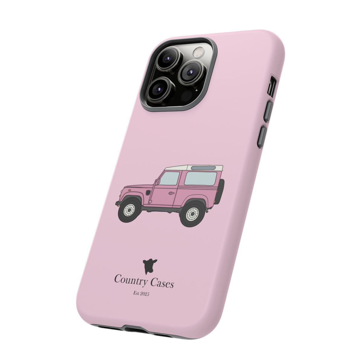Pink Landy 2.0 case