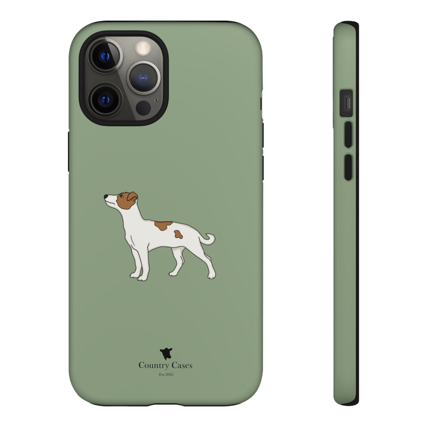 Jack Russell terrier case