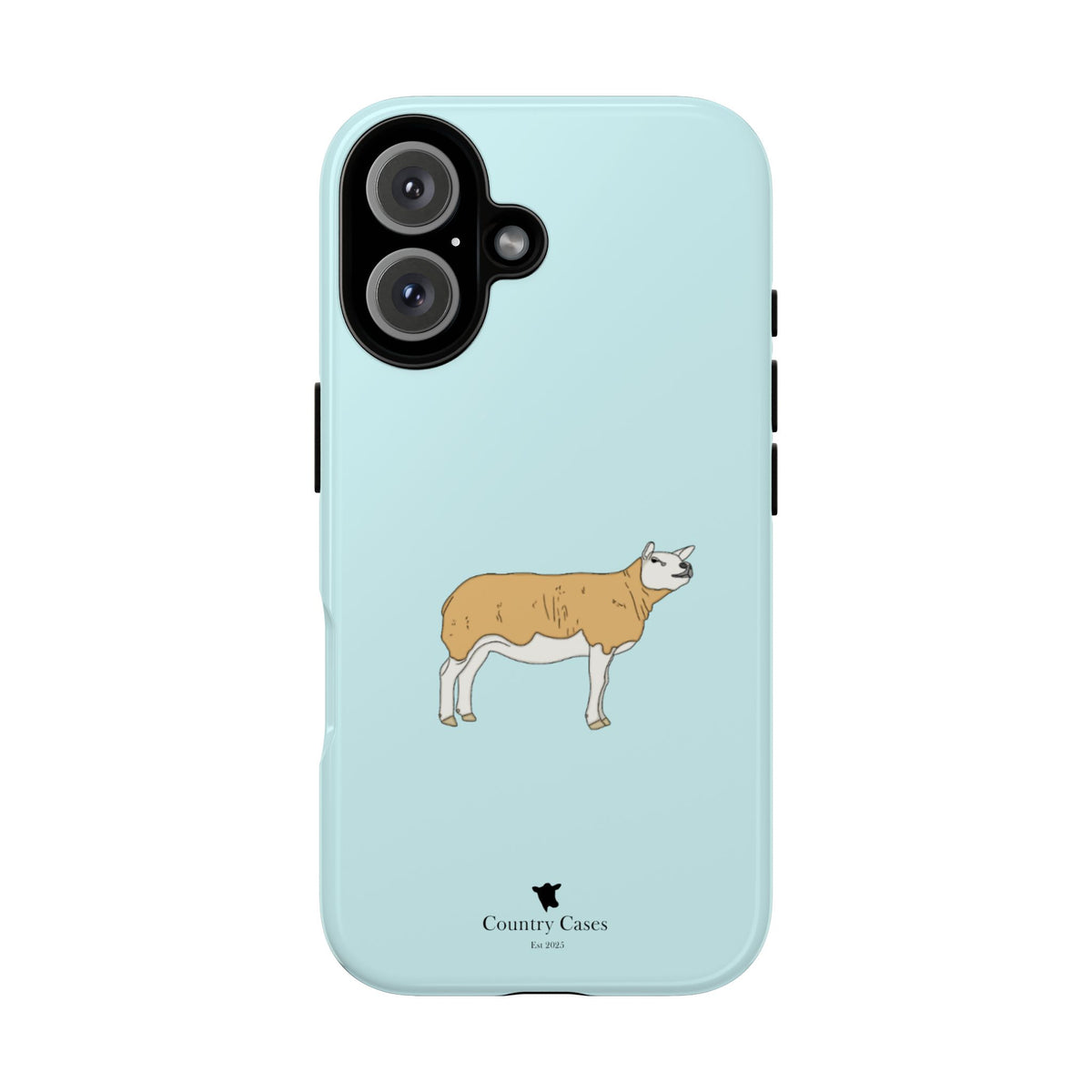 Texal Case