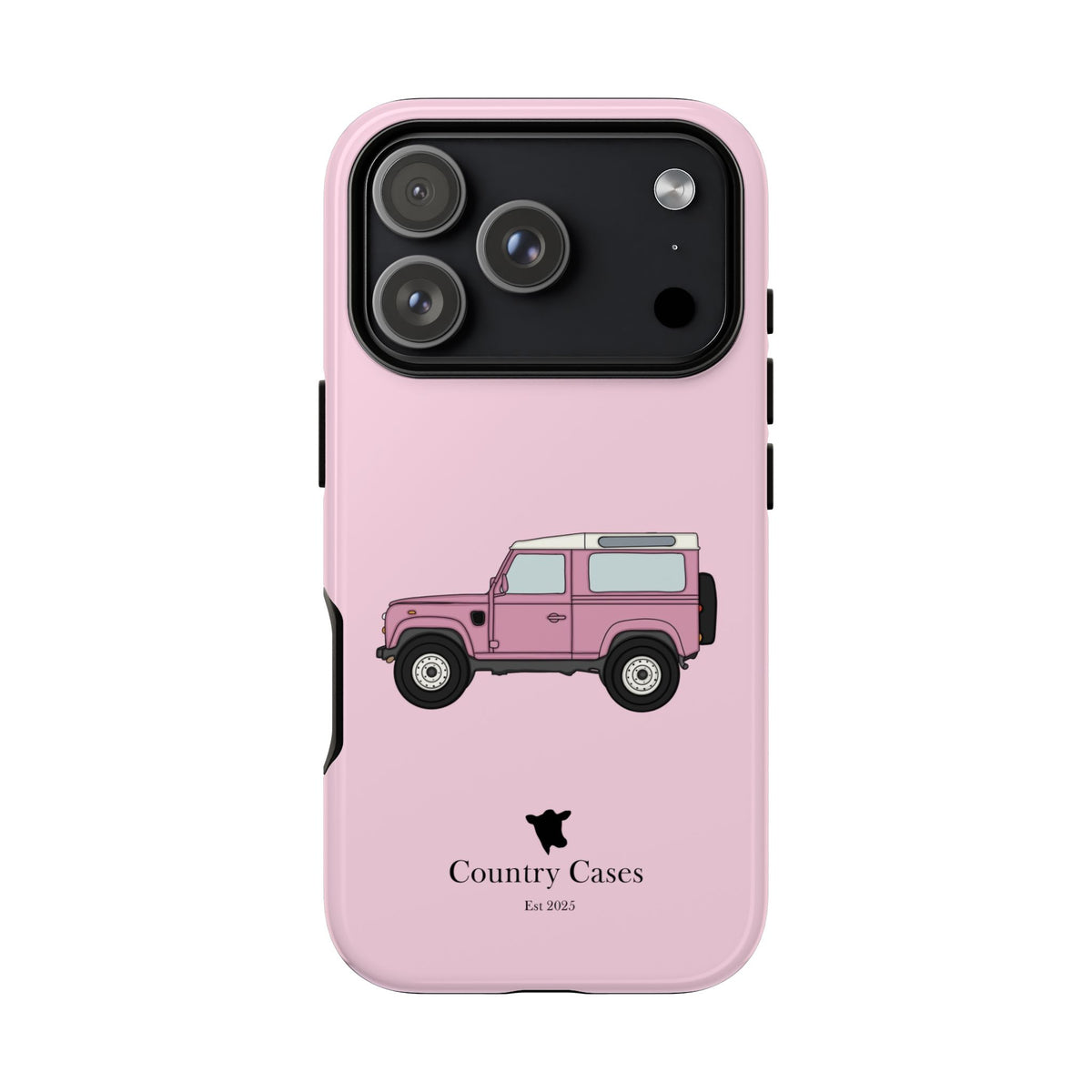 Pink Landy 2.0 case