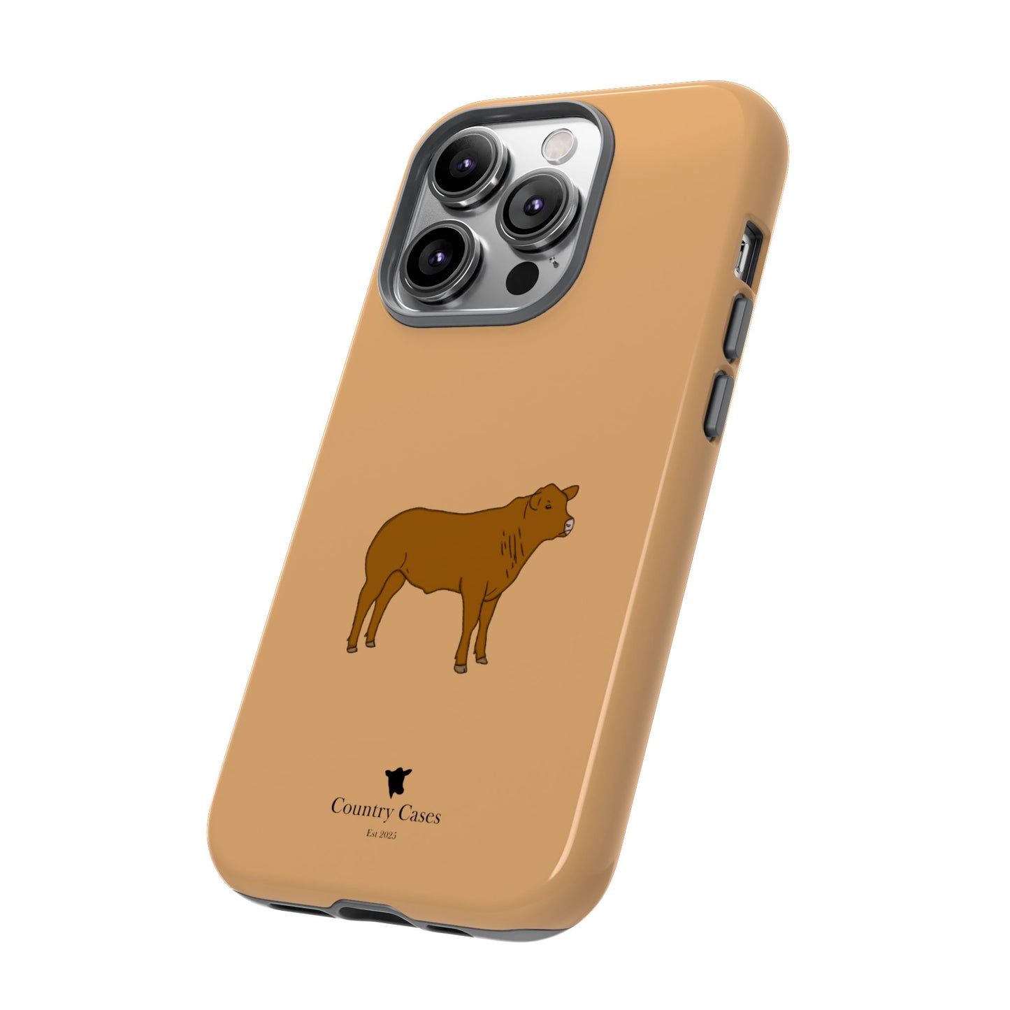 Beef Cow Case