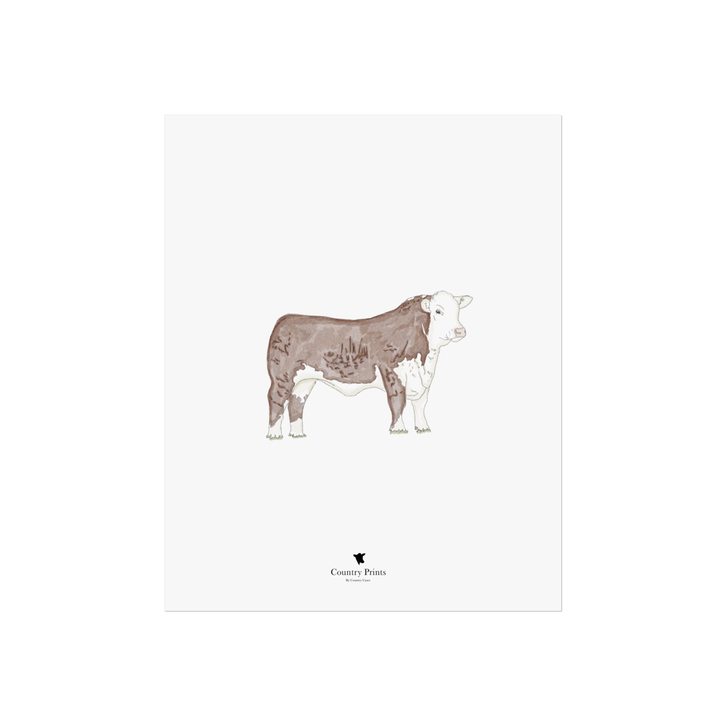 Hereford bull art print