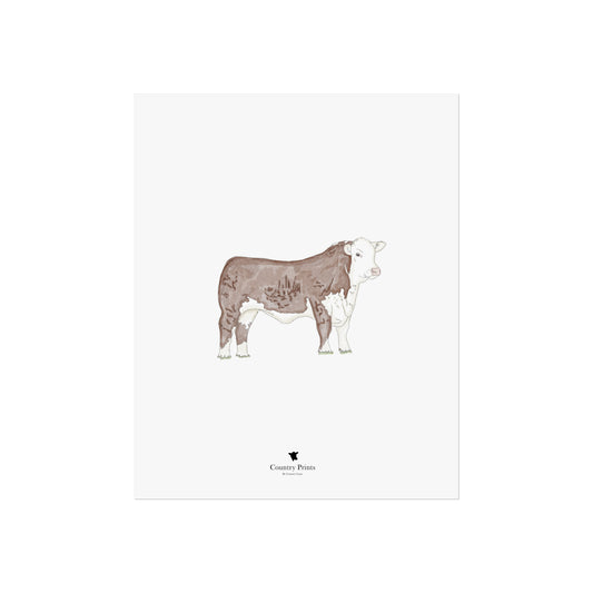 Hereford bull art print