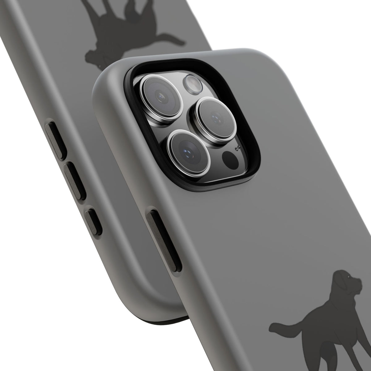 Black Labrador Case