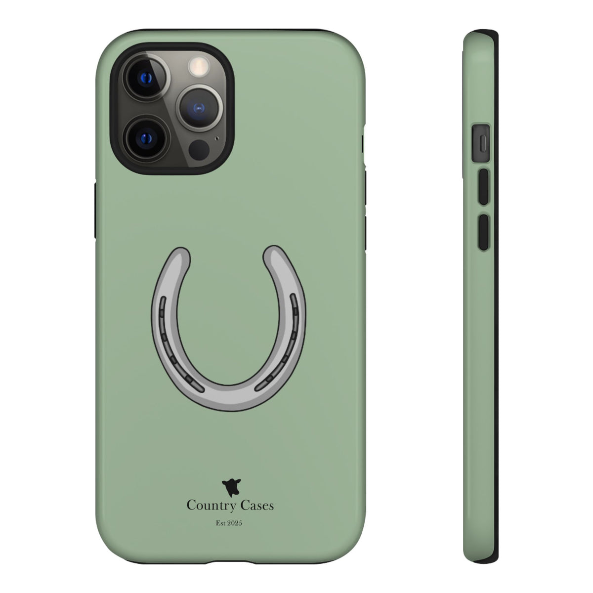 Horse Shoe Case
