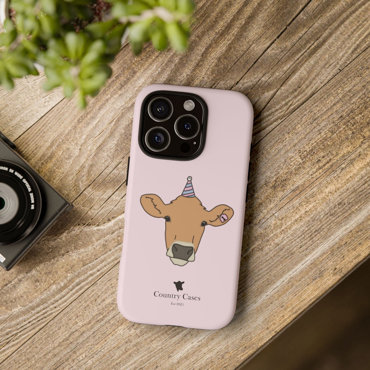 Pink Birthday Case