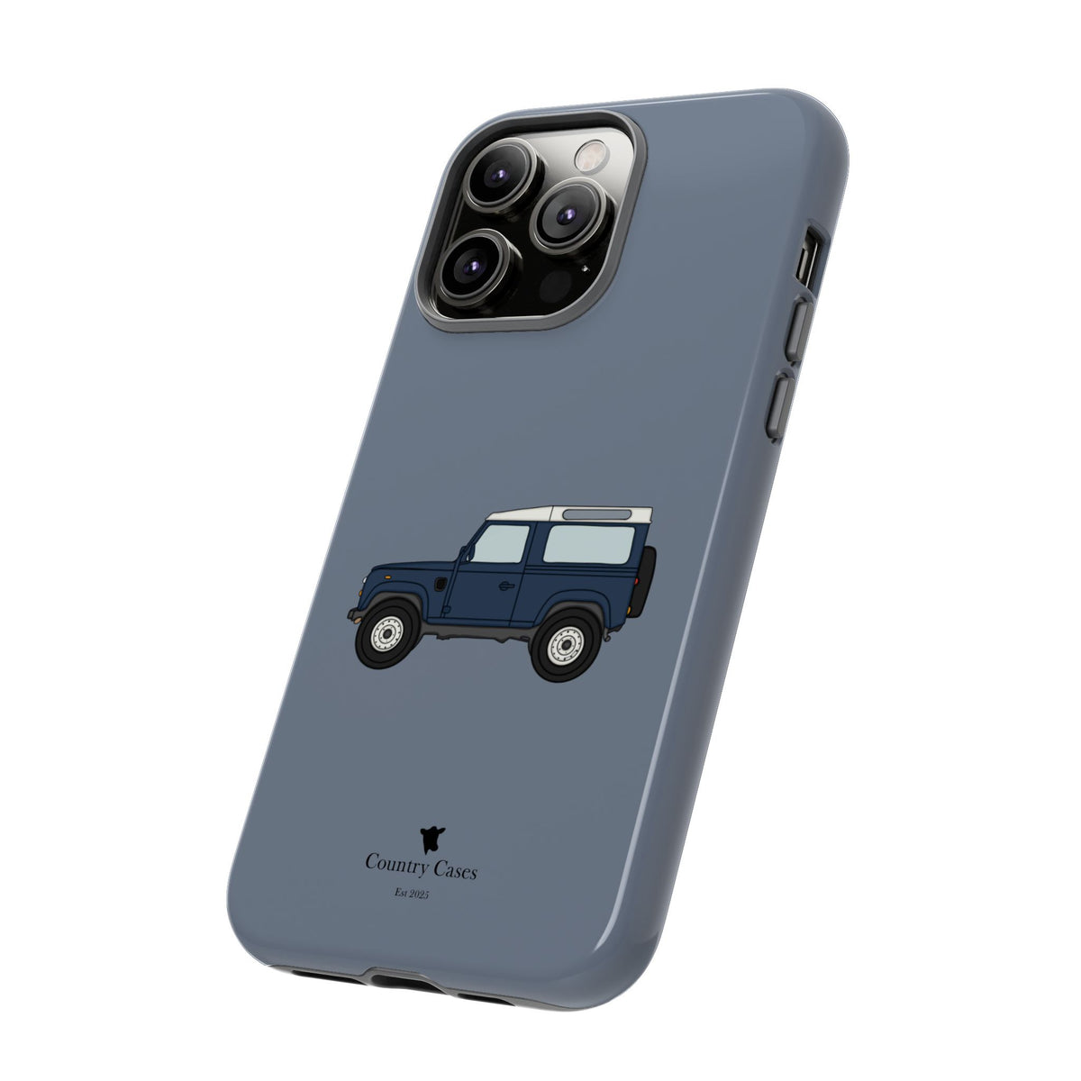 Blue Landy Case