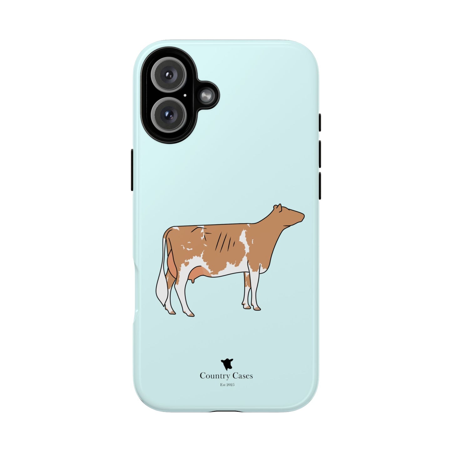 Gurnsey case