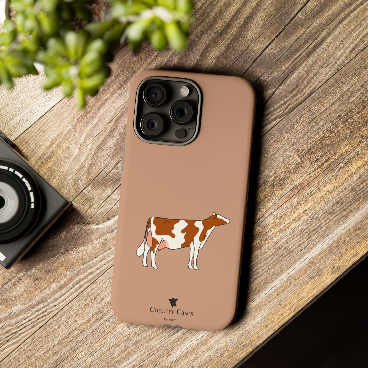 Red and white Holstein case
