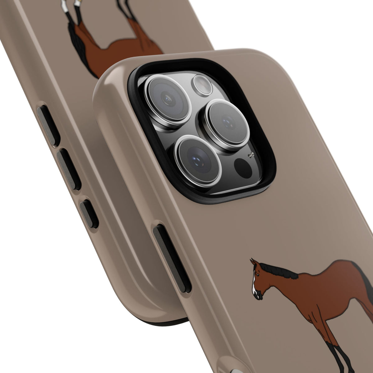 Bay Horse Case