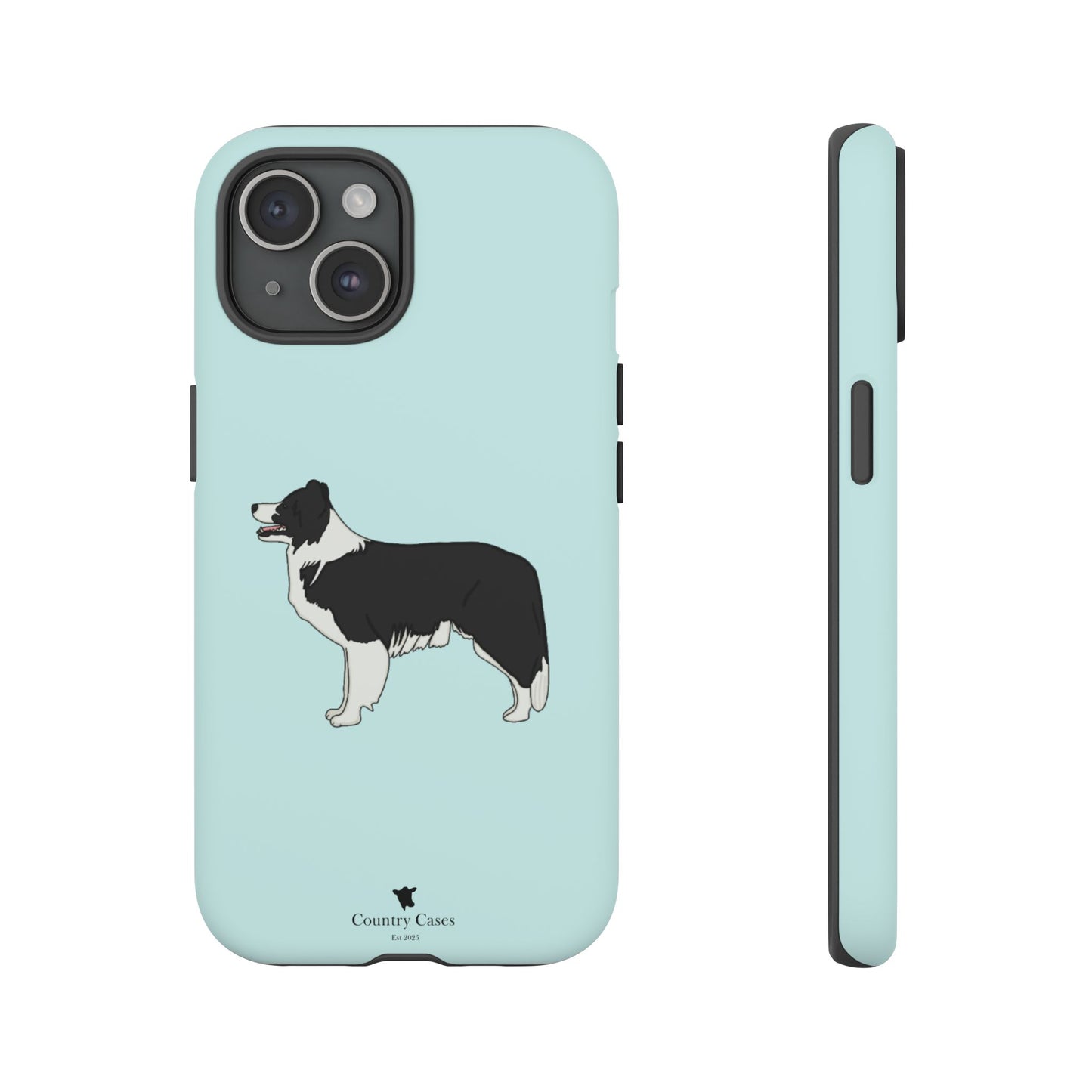 Collie case