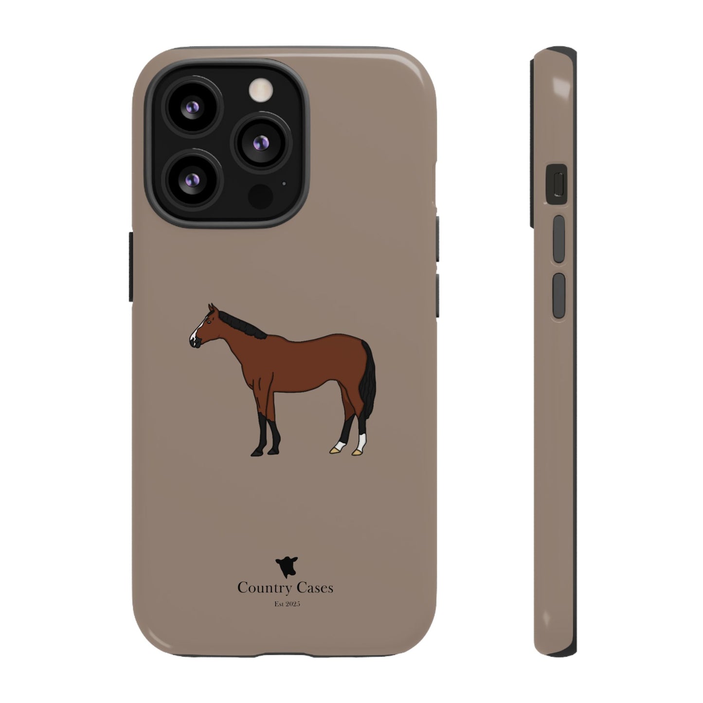 Bay horse case