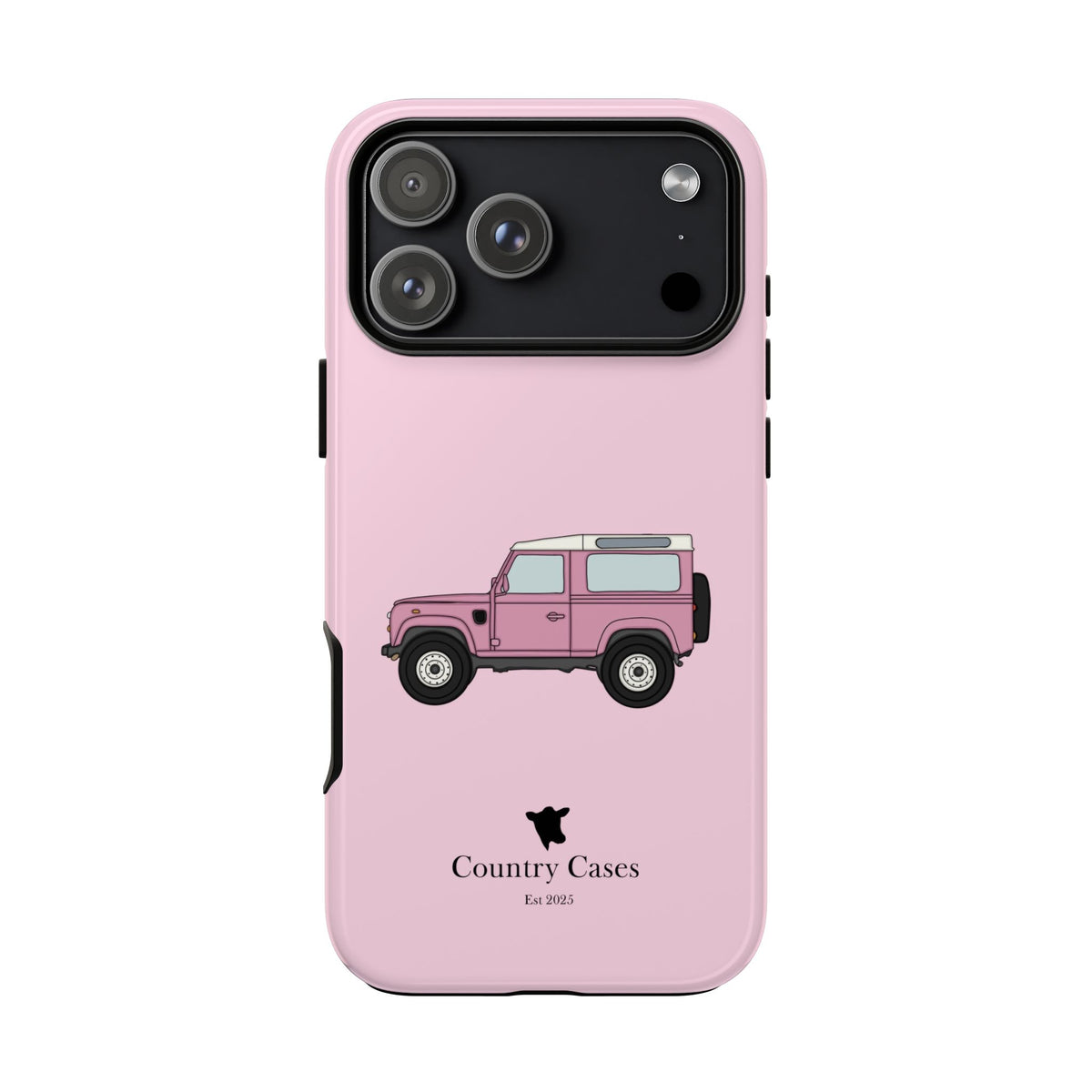 Pink Landy 2.0 case