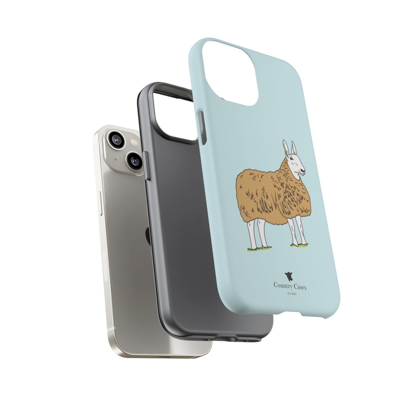 Border Leicester case