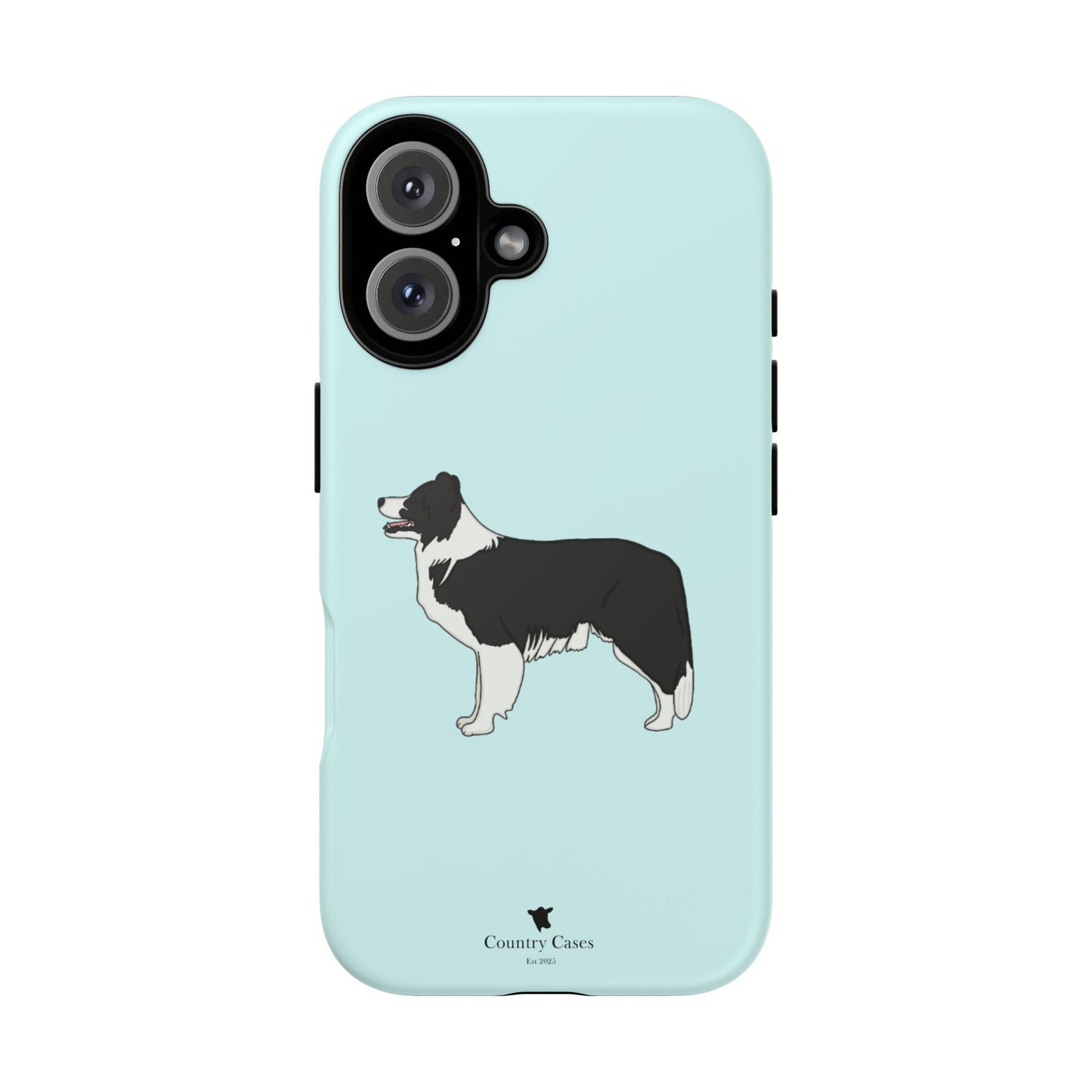 Collie case