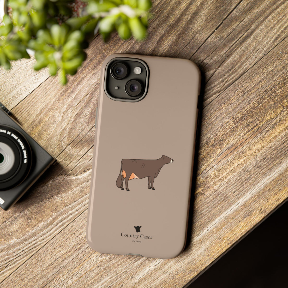 Brown Swiss Case