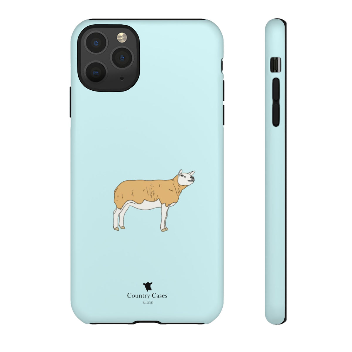 Texal Case