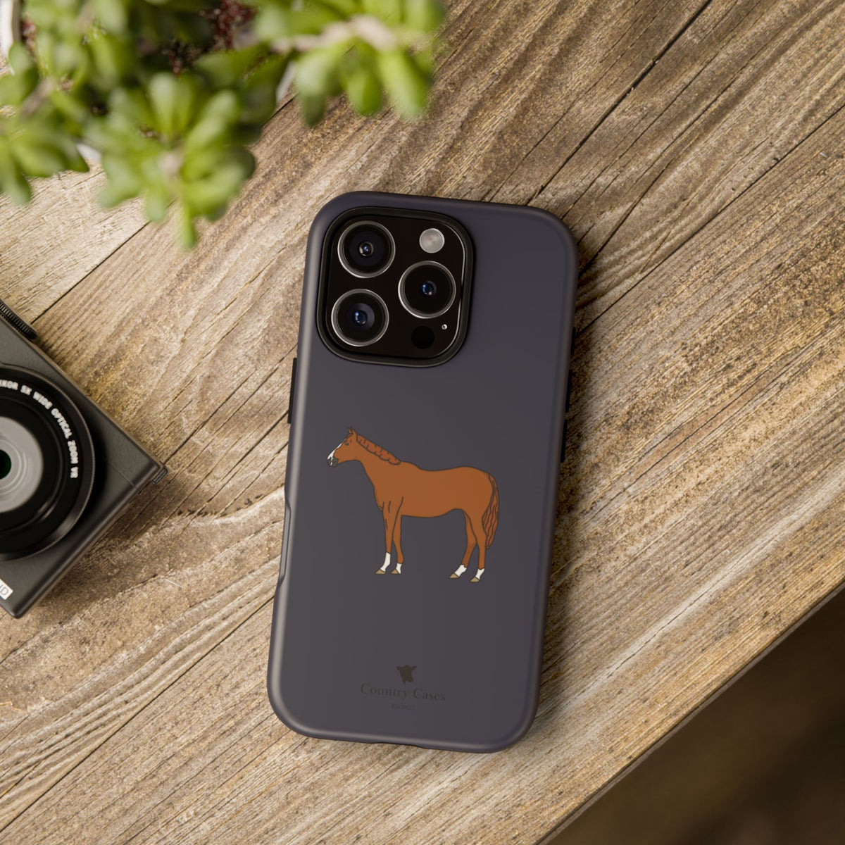 Chestnut Horse Case